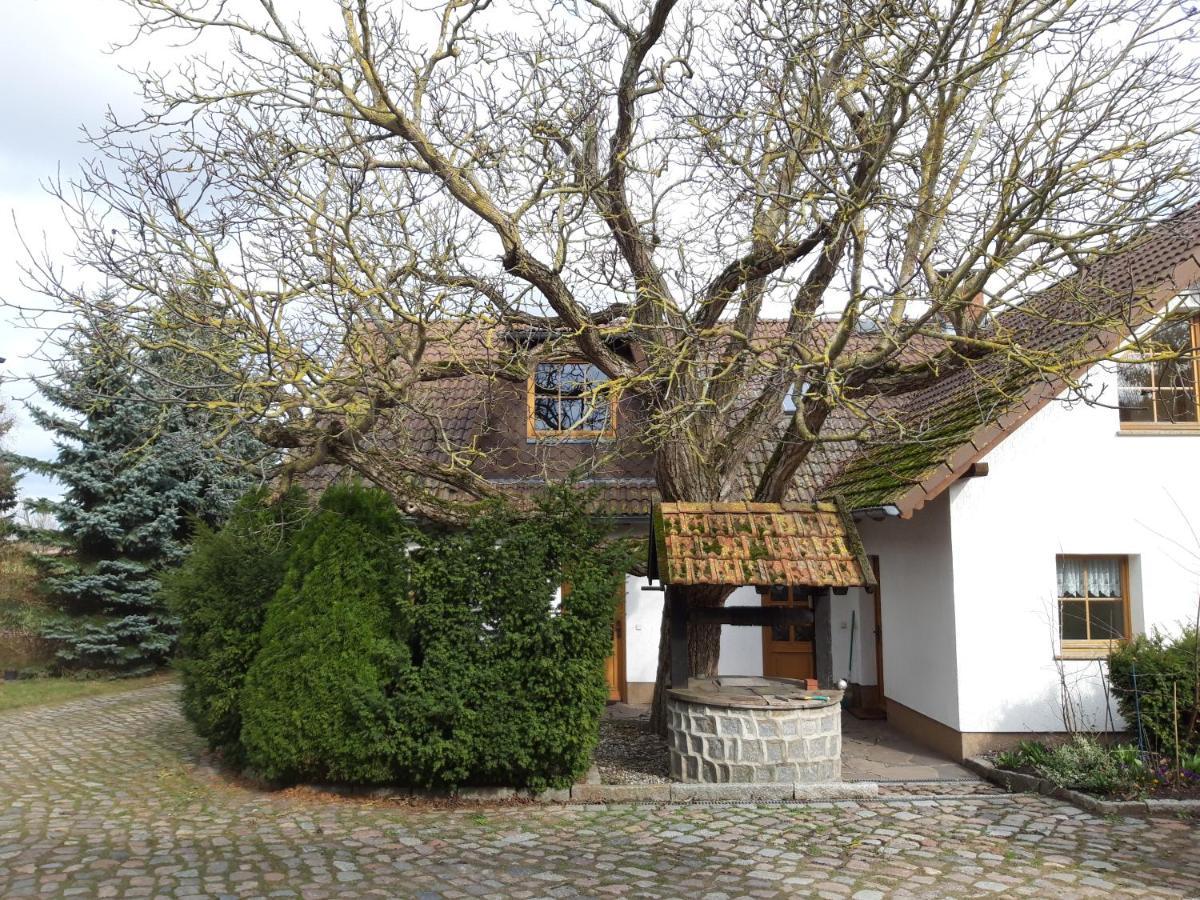 Ein Bett Im Kornfeld - Haus Morgensonne - Mit Innenpool Schonfeld  Экстерьер фото